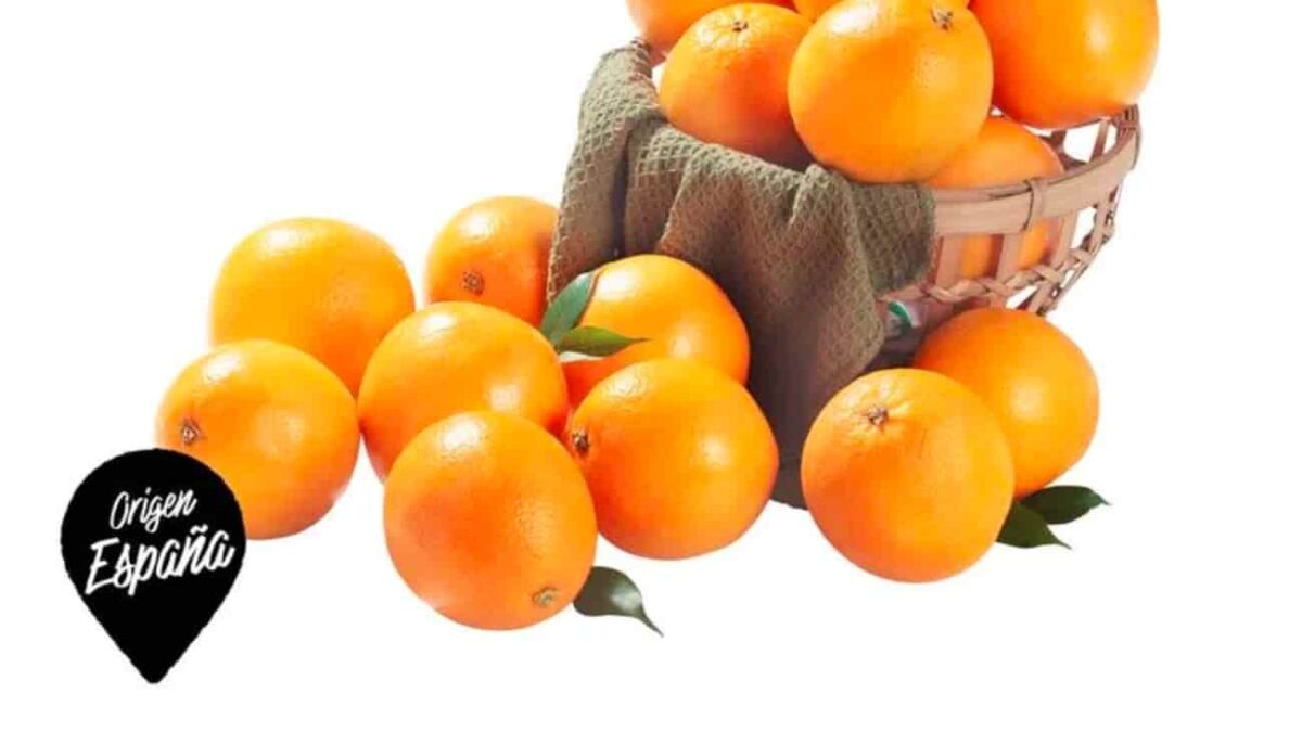 naranjas lidl origen España